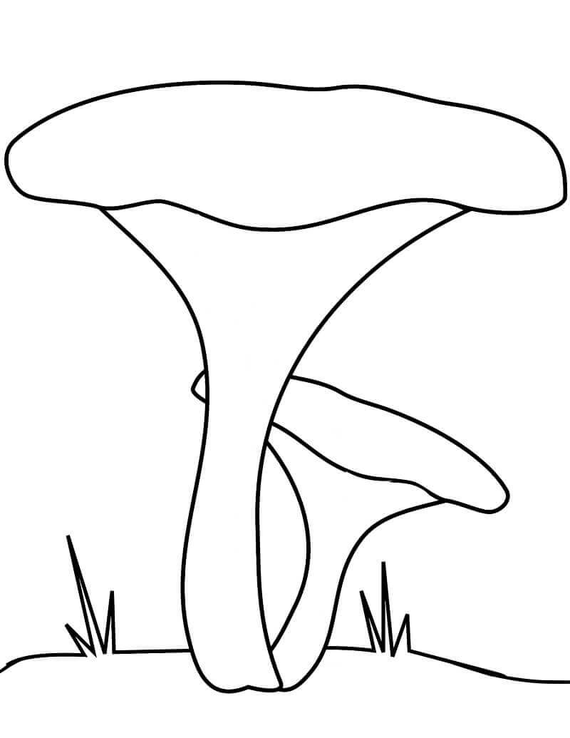 Desenhos de Cogumelos Chanterelle para colorir