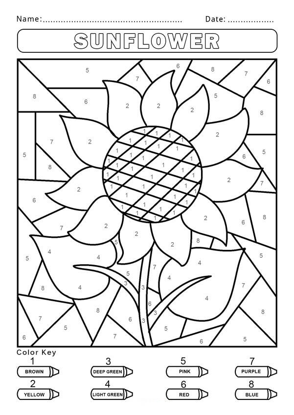 Desenhos de Cor do Girassol por Número para colorir