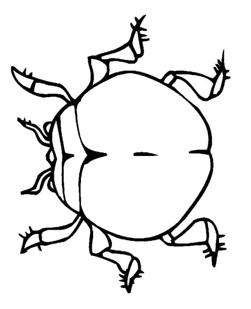 Desenhar besouros fácil para colorir