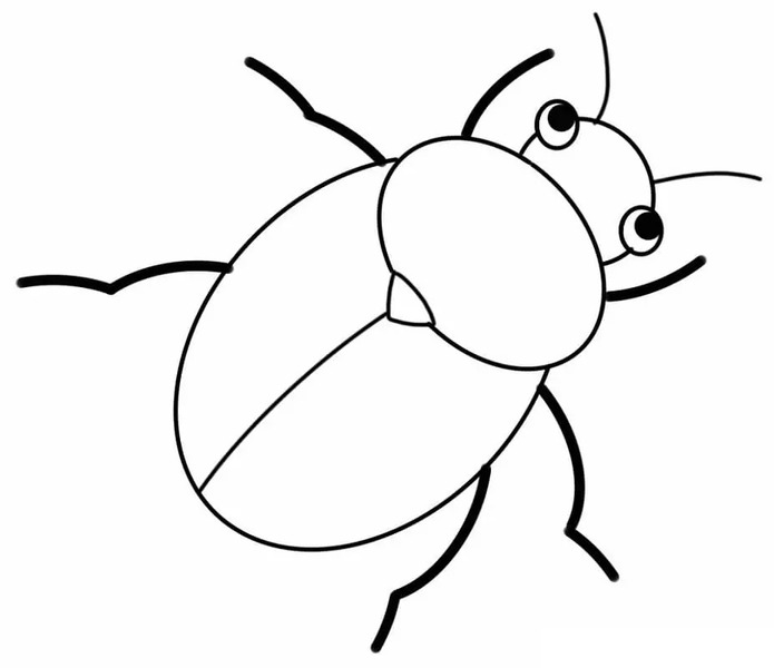 Desenhar imagem de besouros para colorir