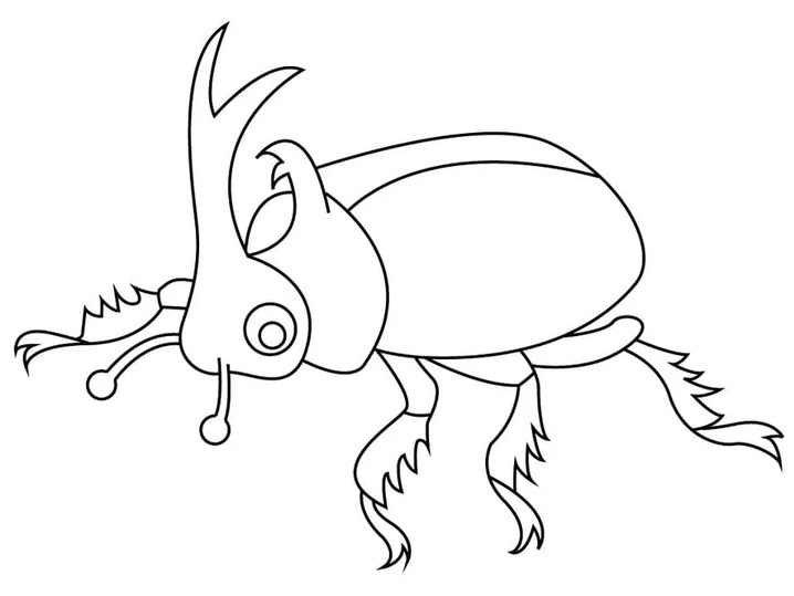 Desenhe besouros imprimir grátis para colorir