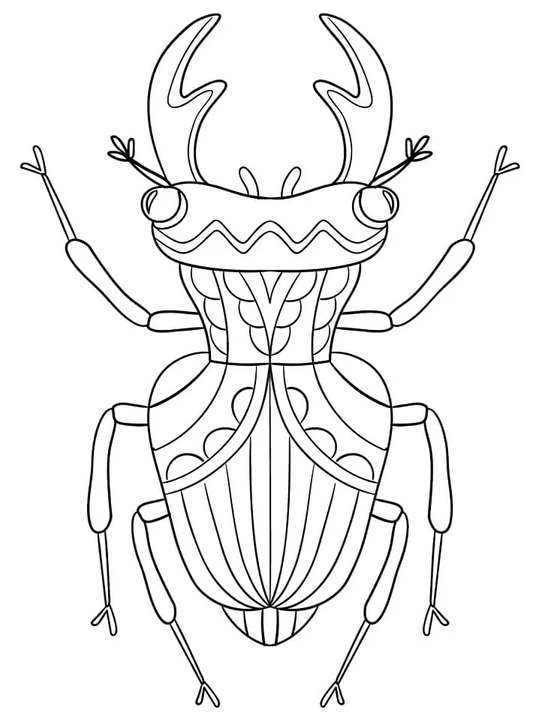 Desenhe besouros imprimir para crianças para colorir