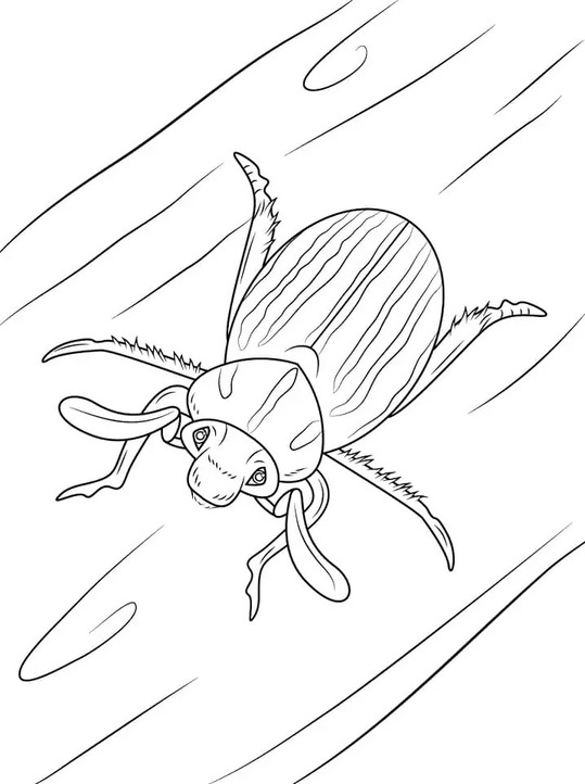 Desenhe besouros na árvore para colorir