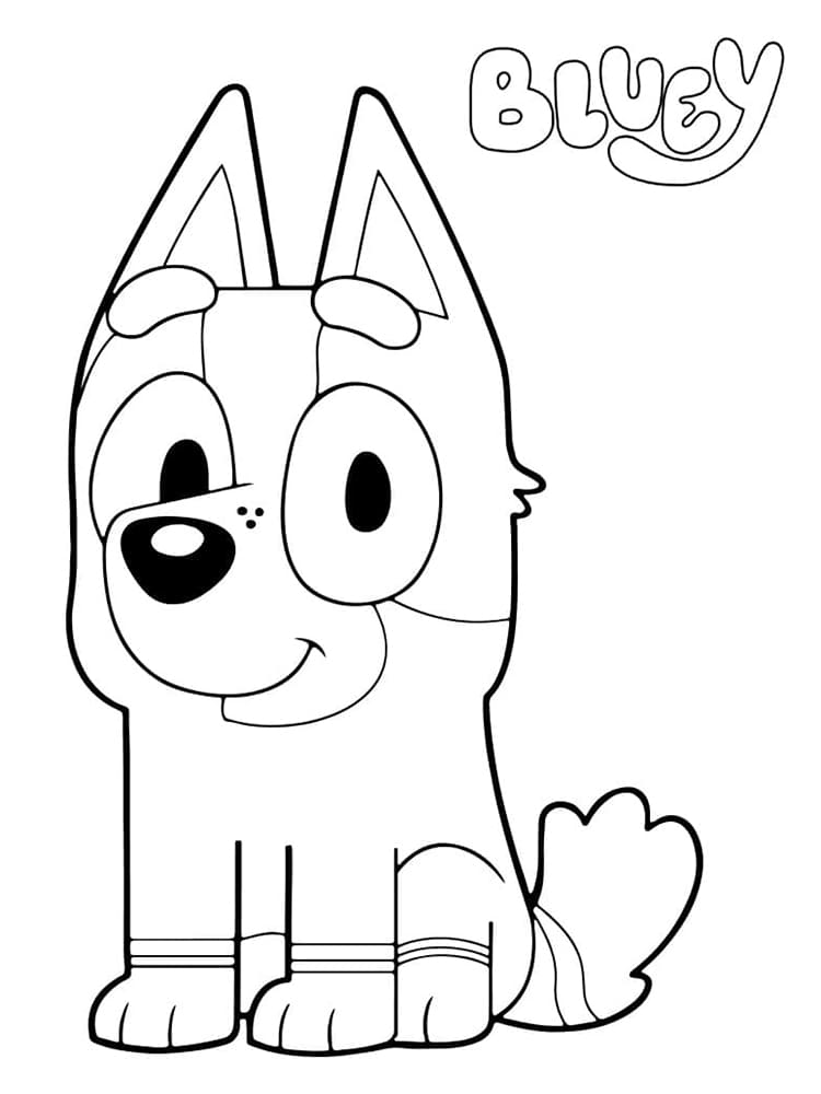 Desenhe meias de Bluey para colorir