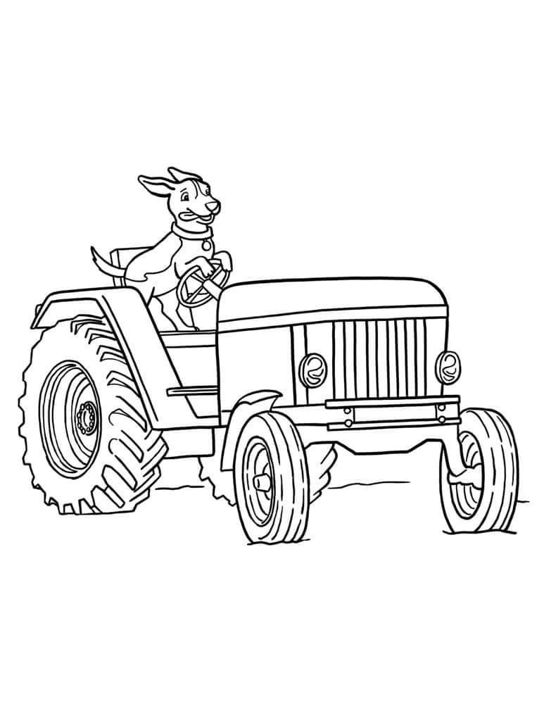 Dog Driving Tractor para colorir