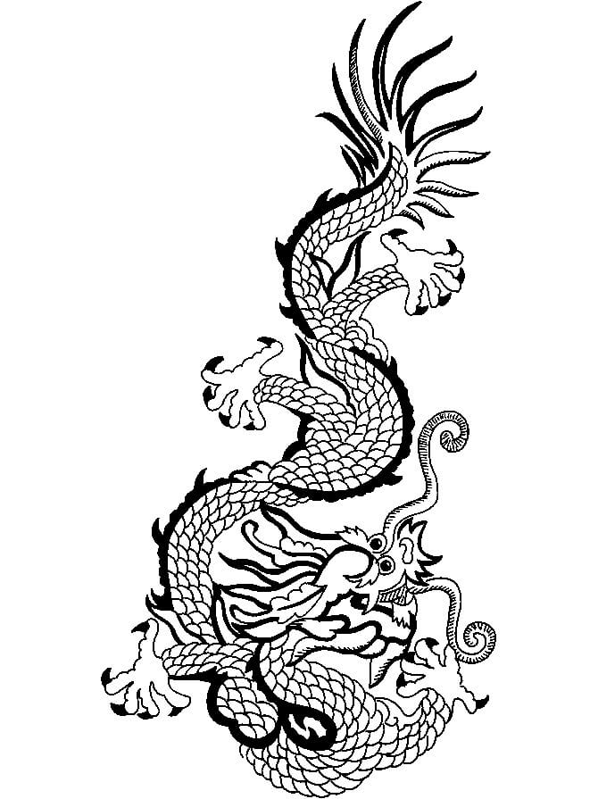 Dragão Chinês Legal para colorir