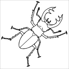 Desenhos de Escaravelhos para colorir