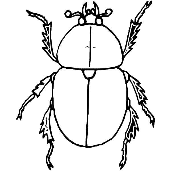 Desenhos de Escaravelhos Frio para colorir