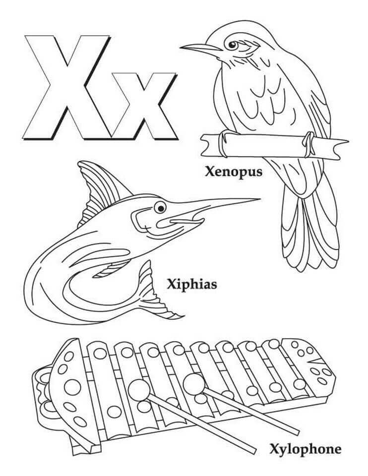Desenhos de Letra X 3 para colorir