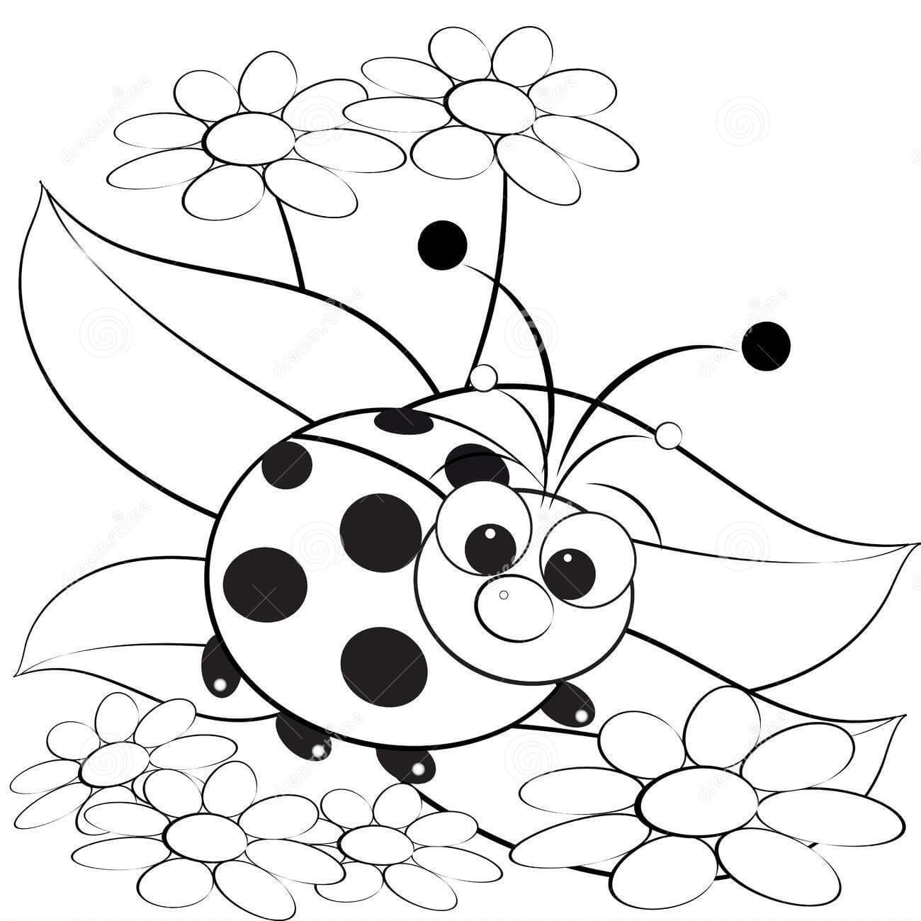 Marienkäfer mit Blume para colorir