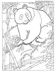 Desenhos de Panda para colorir