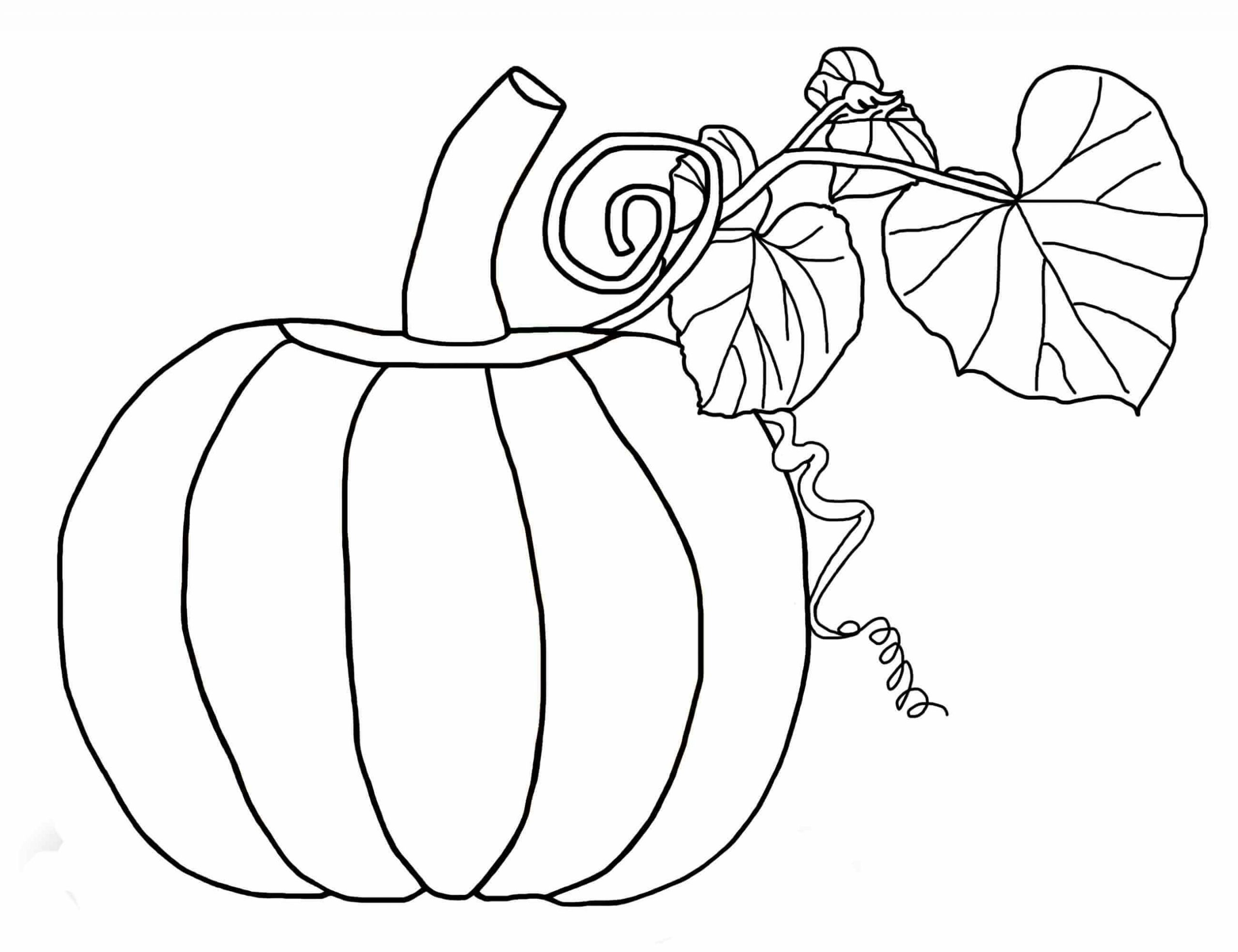 Desenhos de Abóbora com Folha para colorir