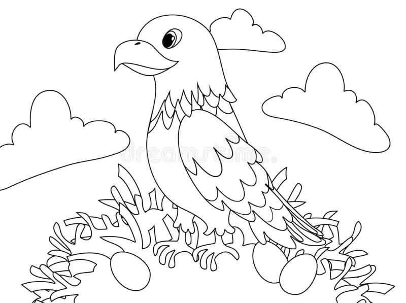 Desenhos de Águia com Ovos para colorir