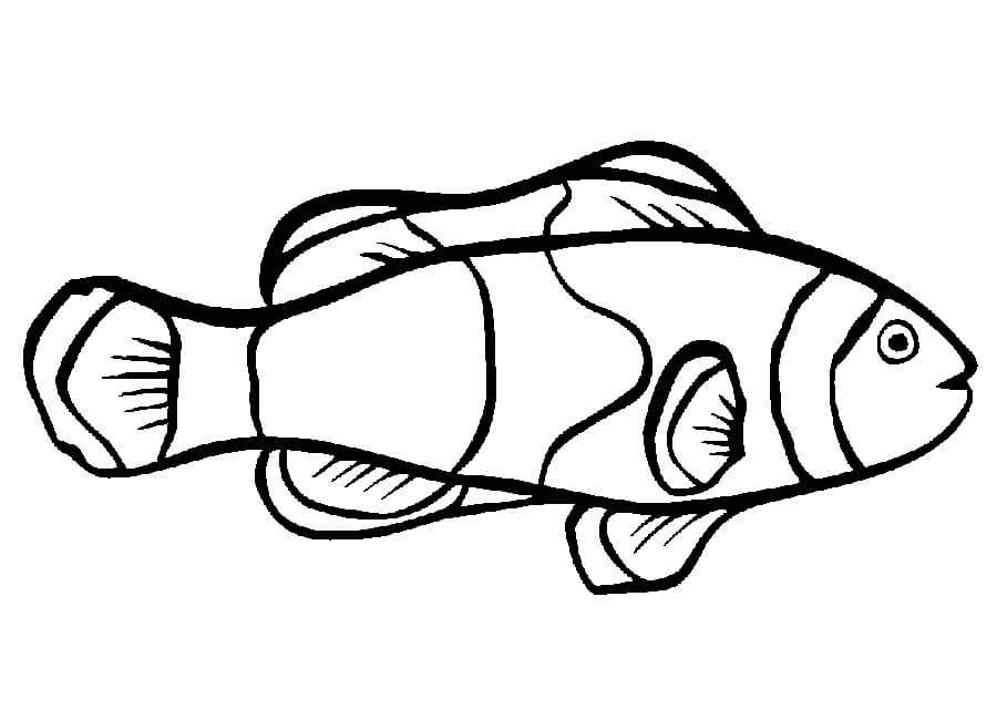Desenhos de Bom Peixe para colorir