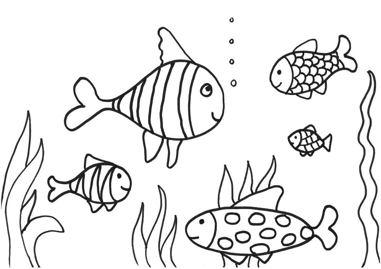 Desenhos de Cinco Peixes para colorir