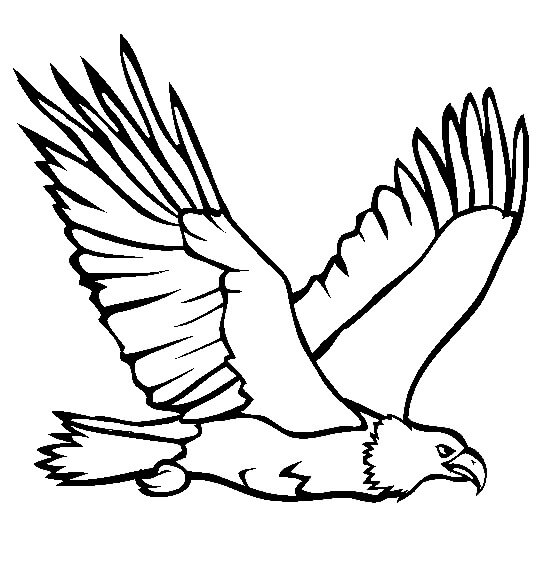 Desenhos de Desenho de Águia para colorir