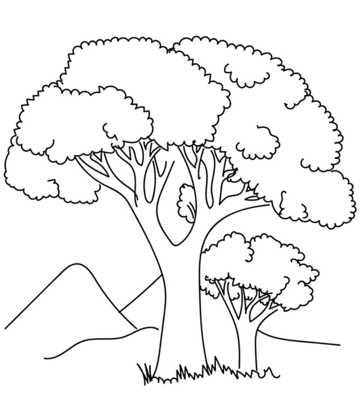 Desenhos de Duas Árvores para colorir