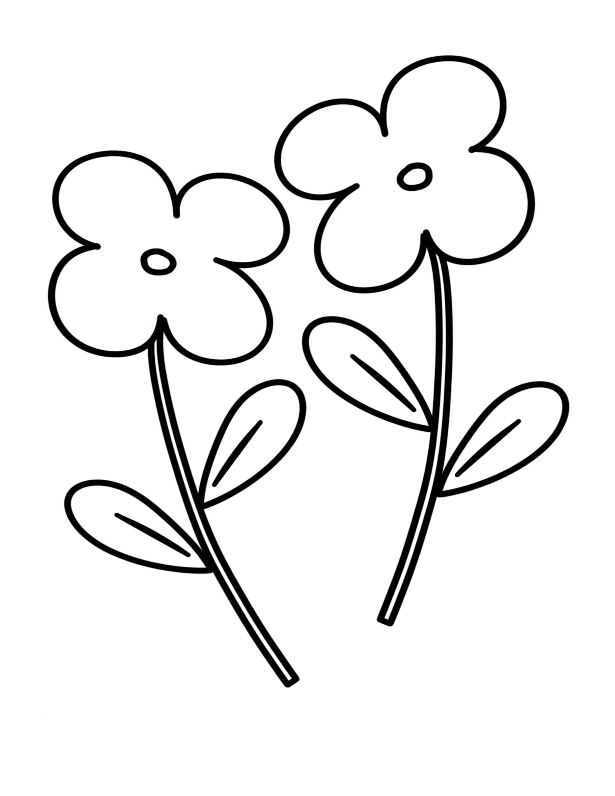 Desenhos de Duas Flores na Primavera para colorir