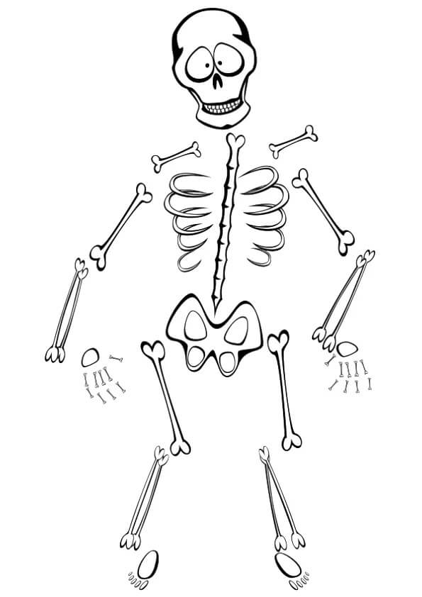 Desenhos de Esqueleto Imprimível para colorir