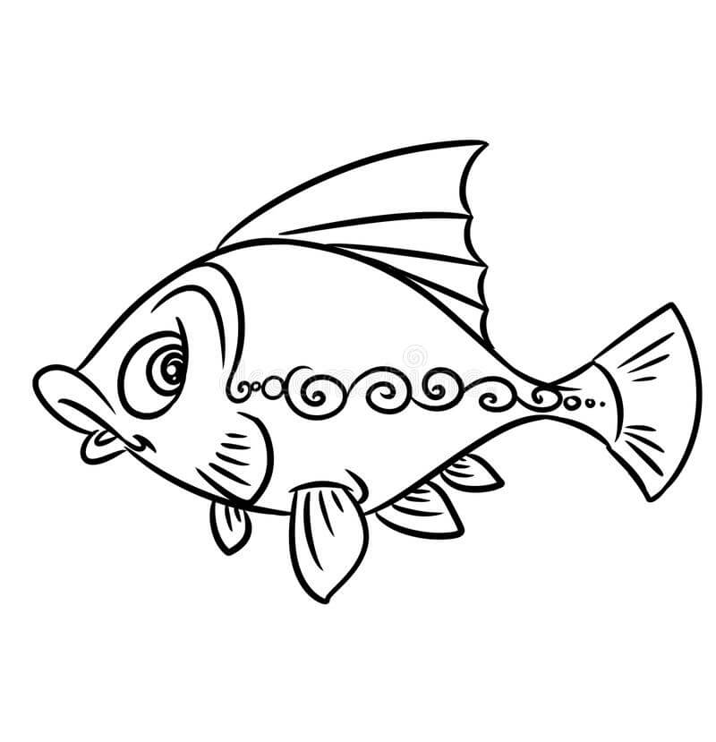 Desenhos de Estampa de Peixe para colorir
