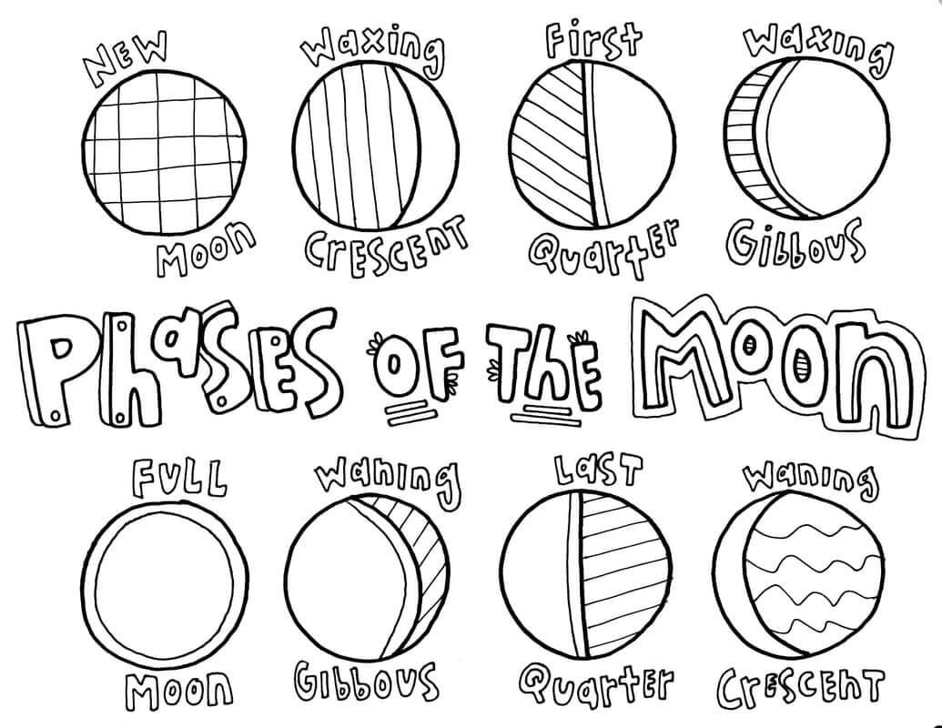 Fases da Lua para colorir