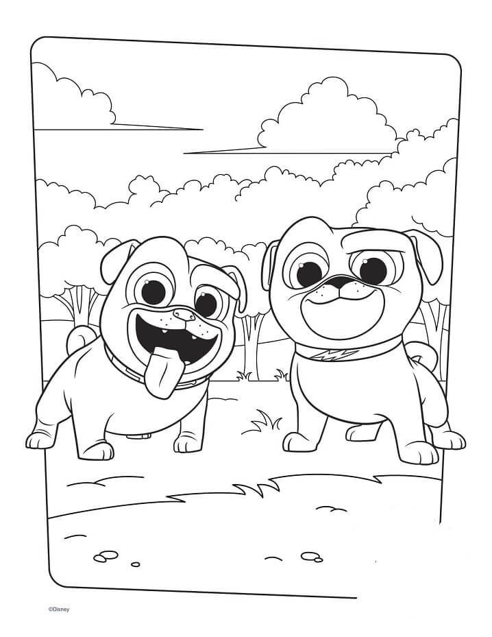 Desenhos de Feliz Bingo e Rolly para colorir