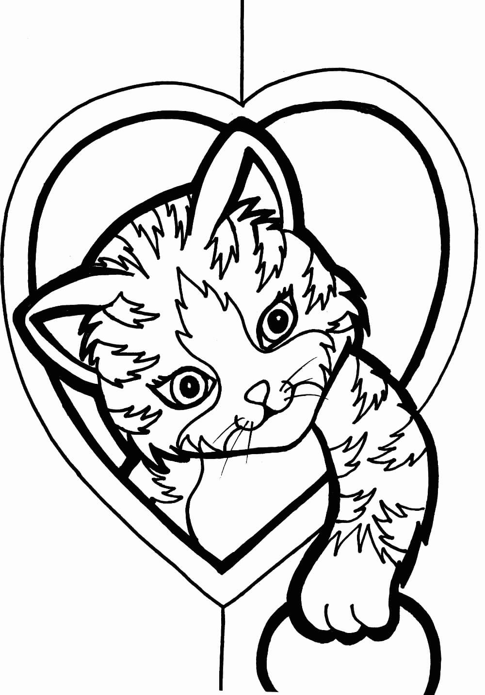 Desenhos de Gato Kawaii Básico para colorir