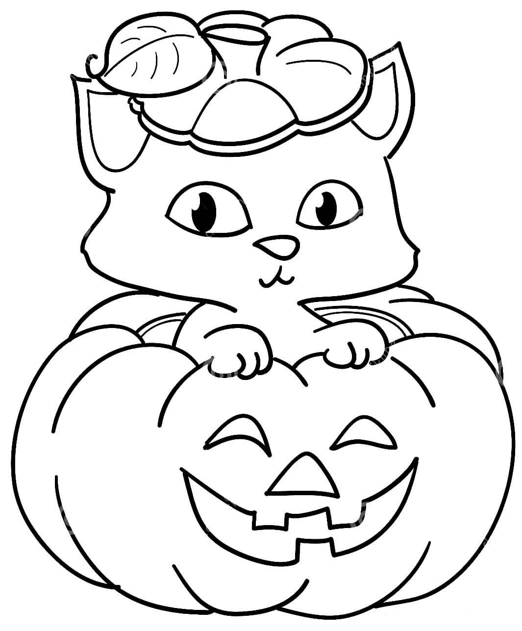Desenhos de Gato na Abóbora para colorir