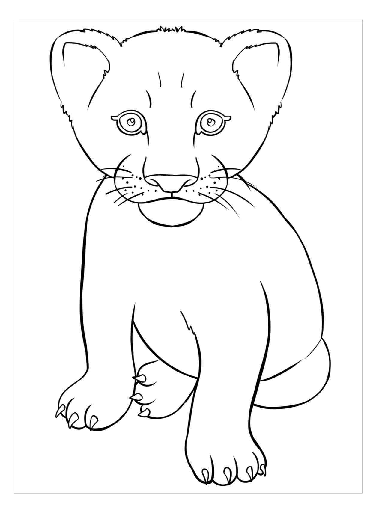 Desenhos de Leão Bebê para colorir