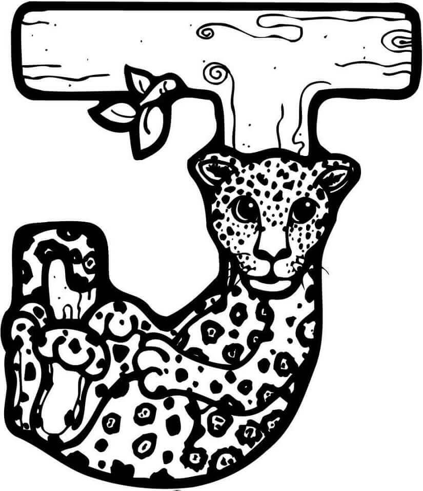 Desenhos de Letra J Jaguar Fofo para colorir