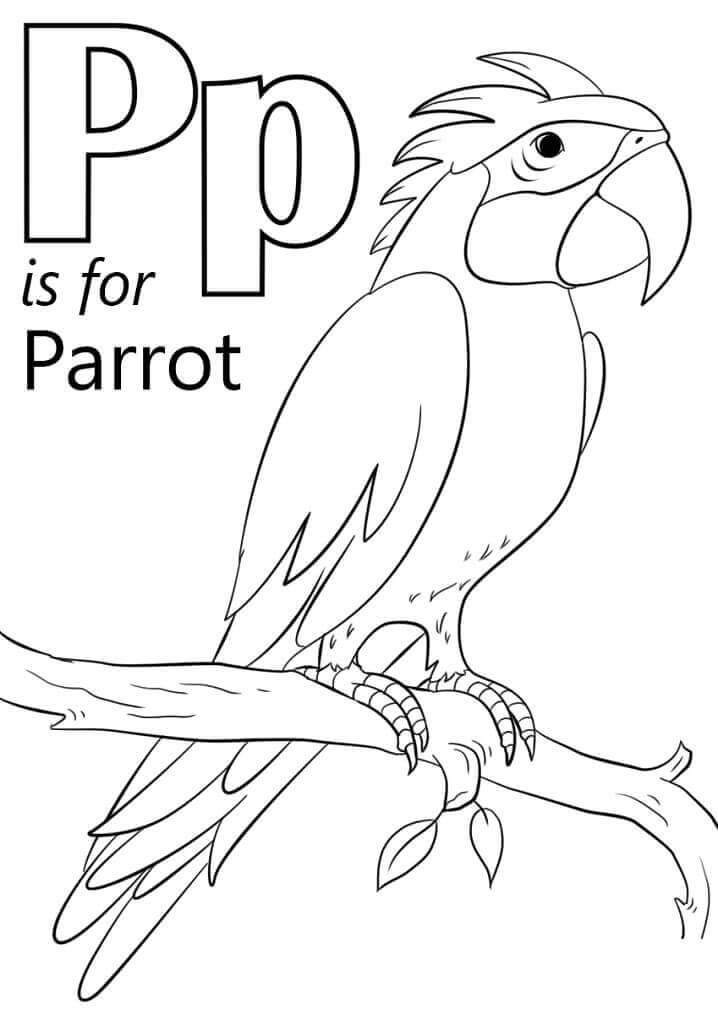 Letra P Do Papagaio para colorir