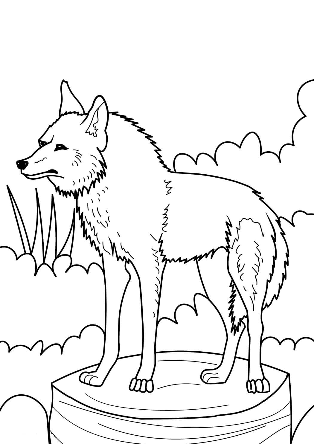 Desenhos de Lobo Agradável para colorir