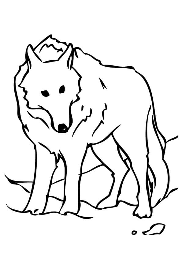 Desenhos de Lobo Estacionário para colorir