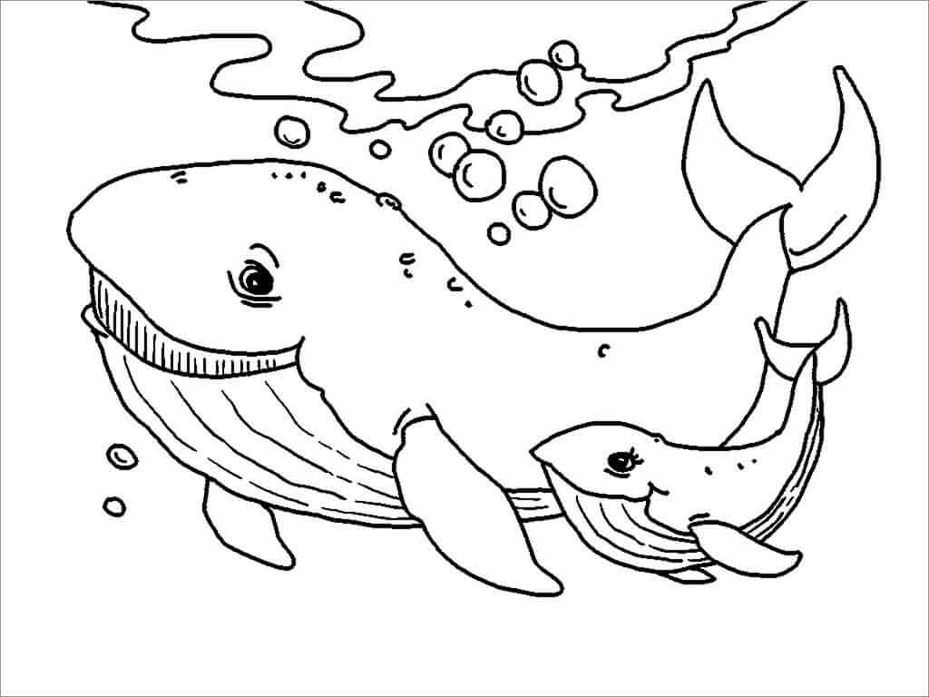 Mamãe Baleia e Bebê Baleia para colorir