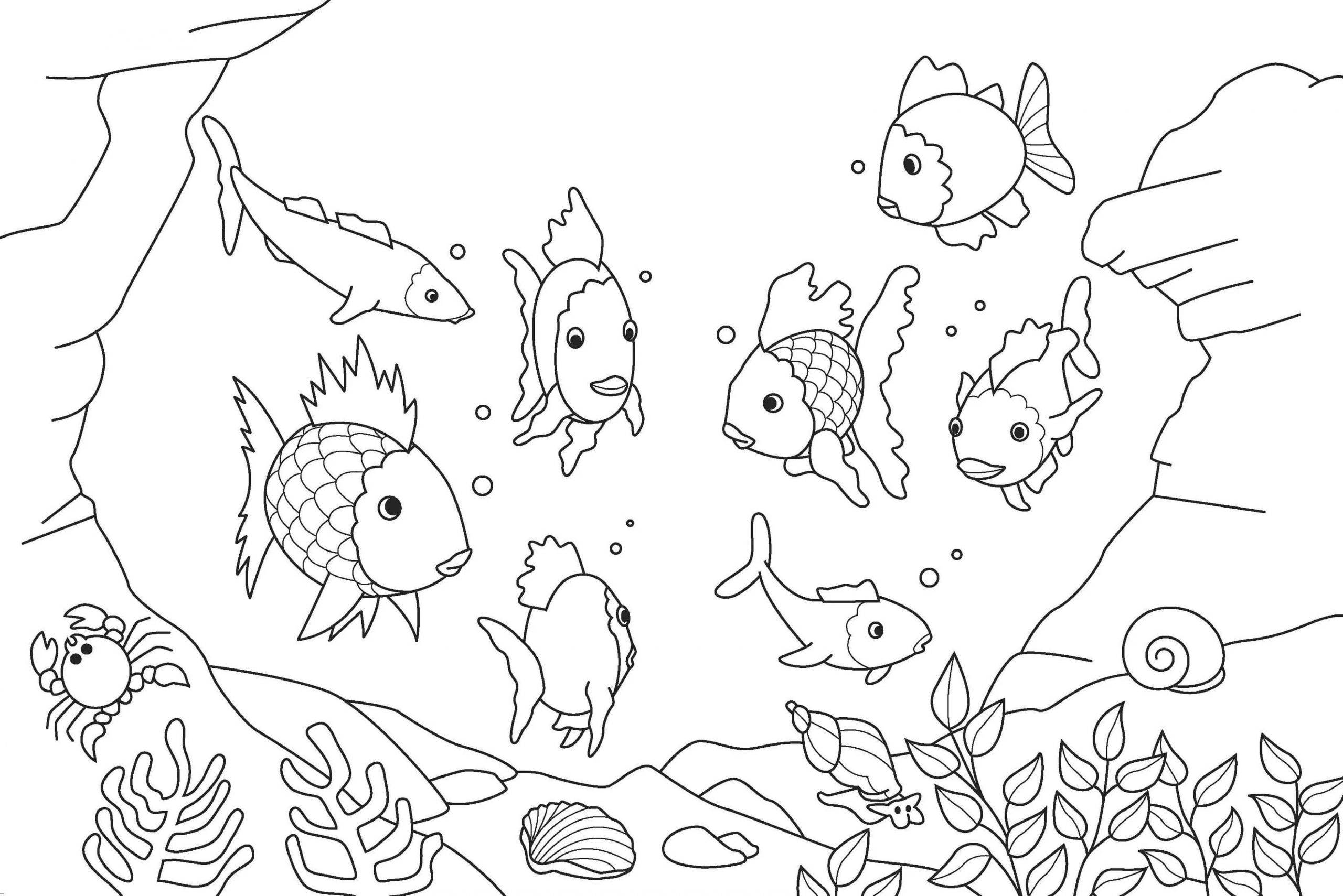 Desenhos de Os Peixes para colorir