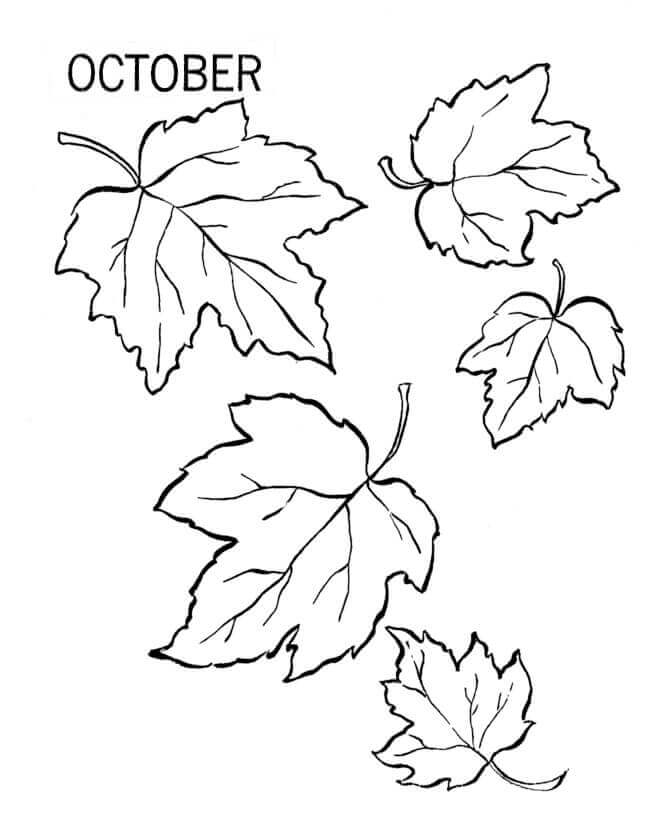 Desenhos de Outubro Com Folhas Caídas para colorir