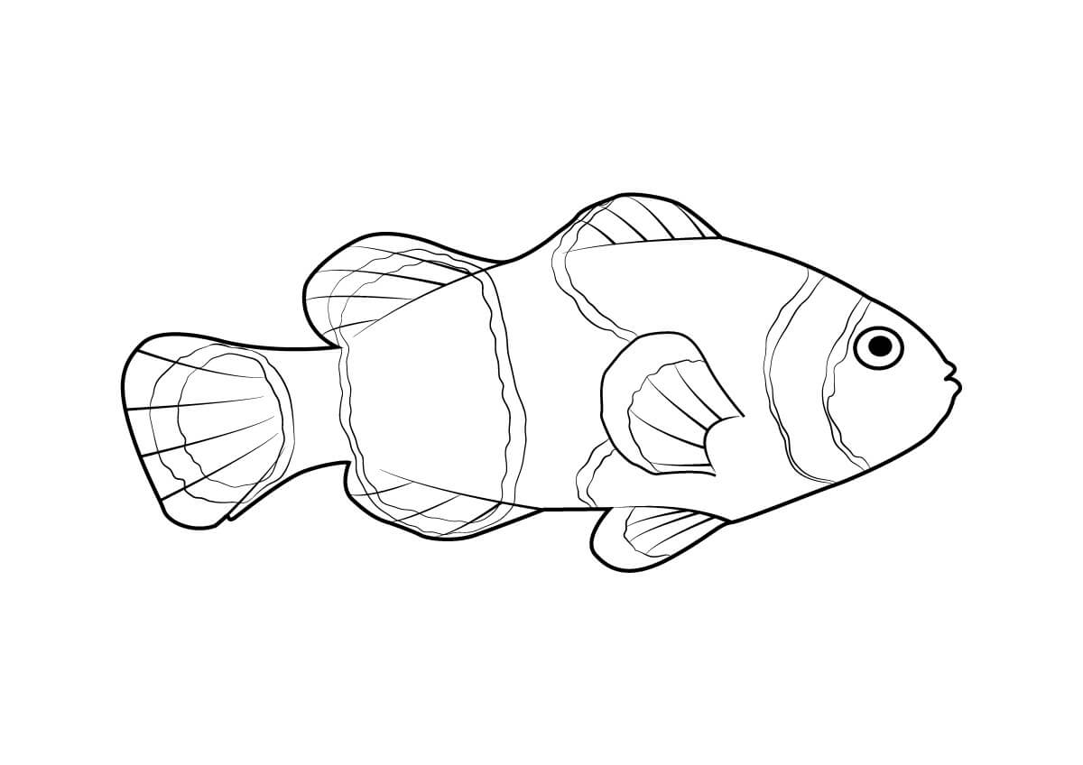 Desenhos de Peixe Adorável para colorir