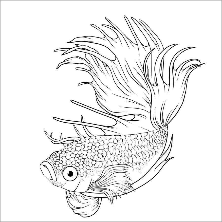 Desenhos de Peixe Grátis para colorir