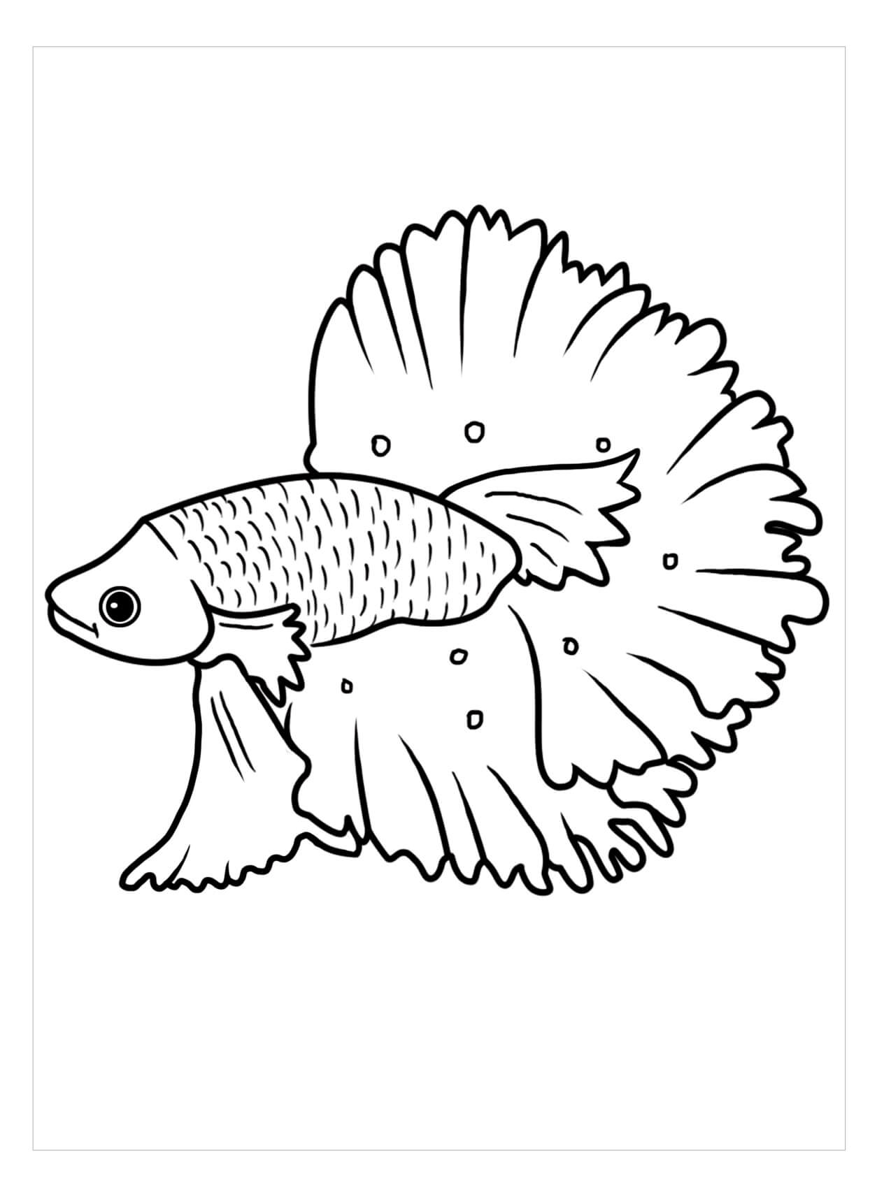 Desenhos de Peixe Perfeito para colorir