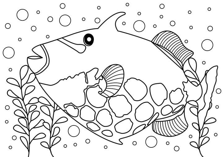 Desenhos de Peixe-Porco para colorir