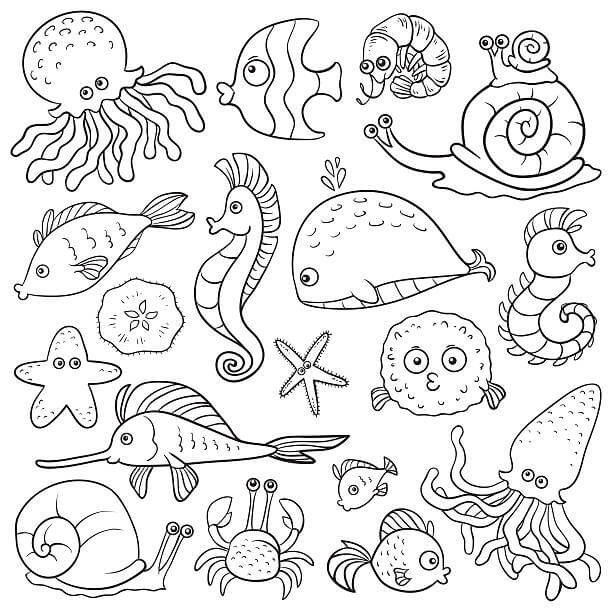 Desenhos de Peixes e Animais Marinhos para colorir