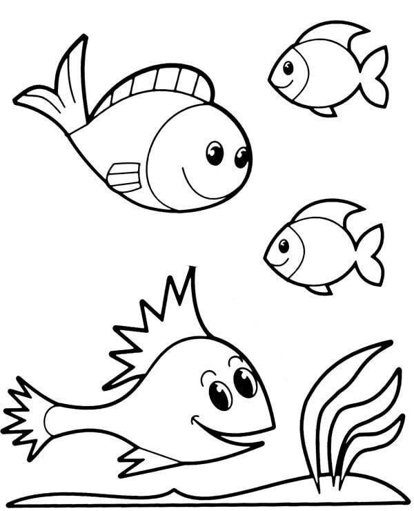 Desenhos de Quatro Peixes Fofos para colorir