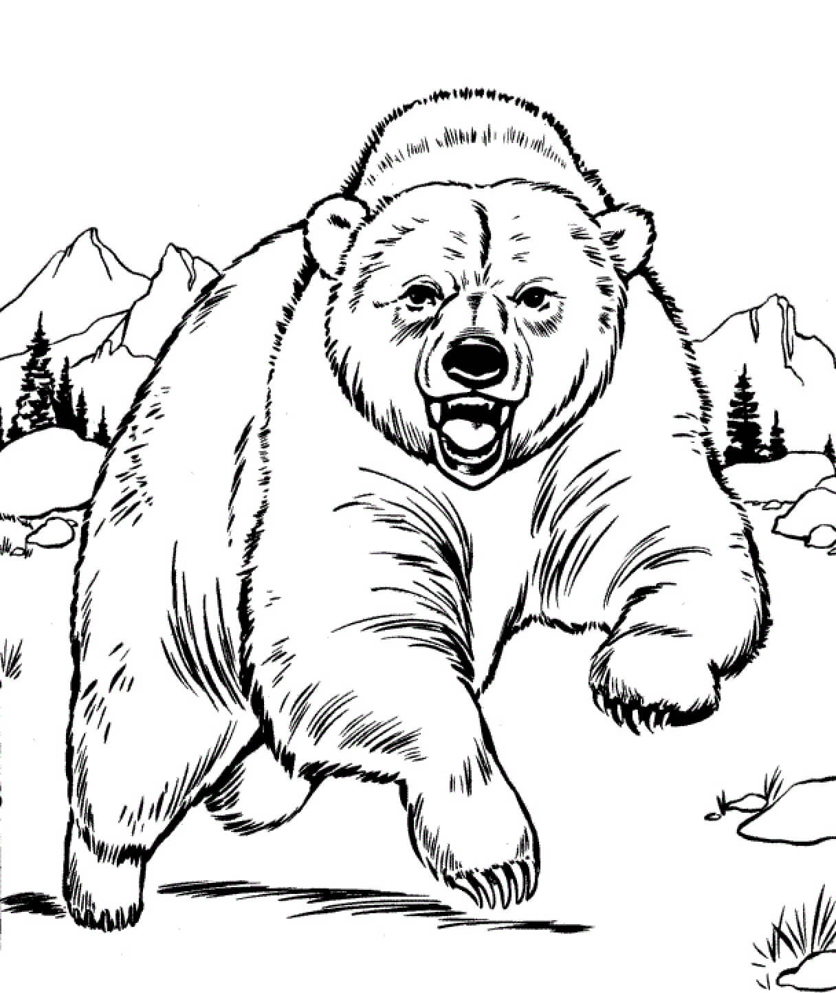 Ataque de Urso para colorir