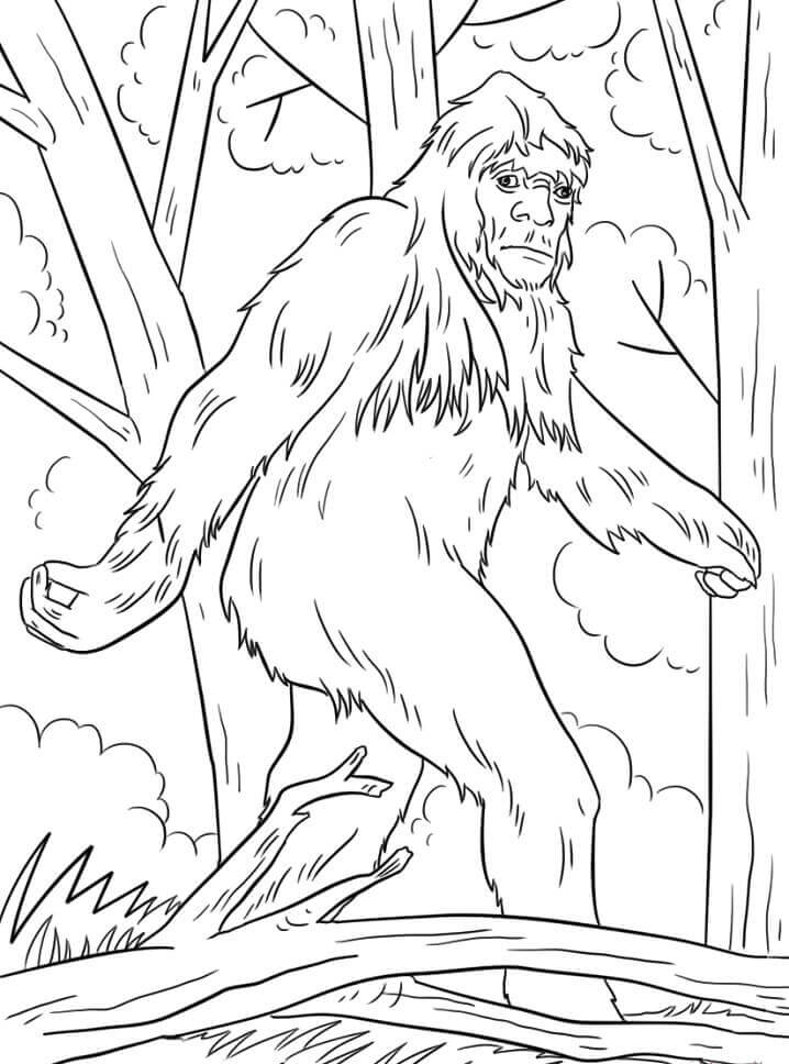 Desenhos de Bigfoot Misterioso 3 para colorir