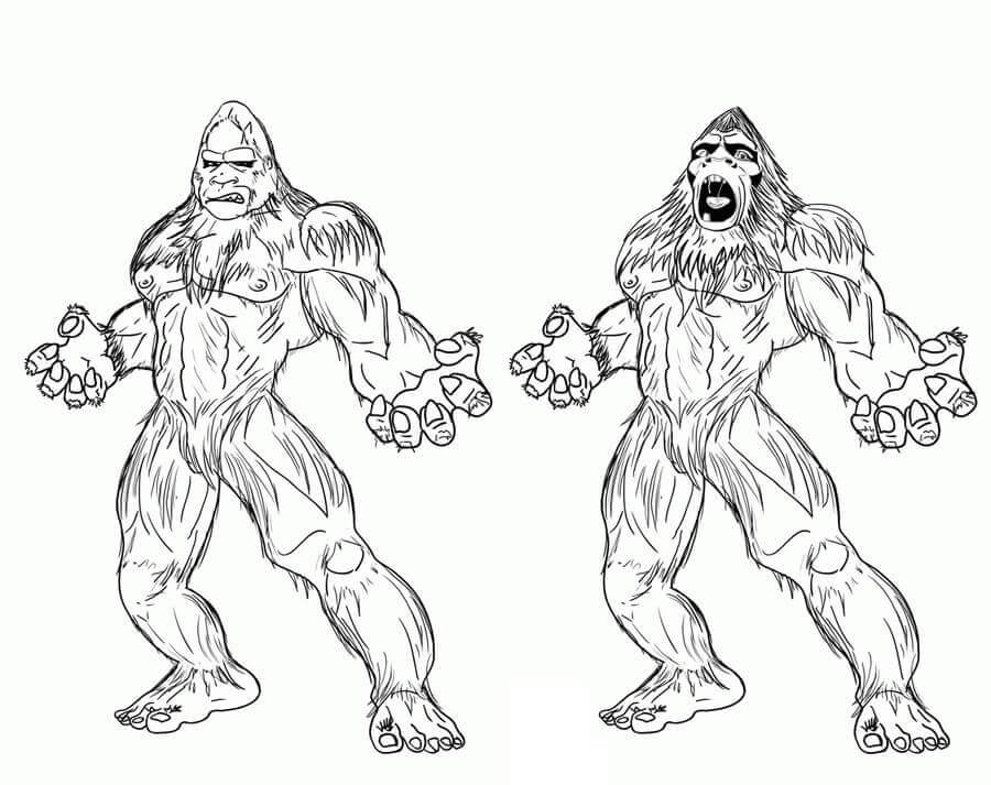 Desenhos de Bigfoot Misterioso 4 para colorir