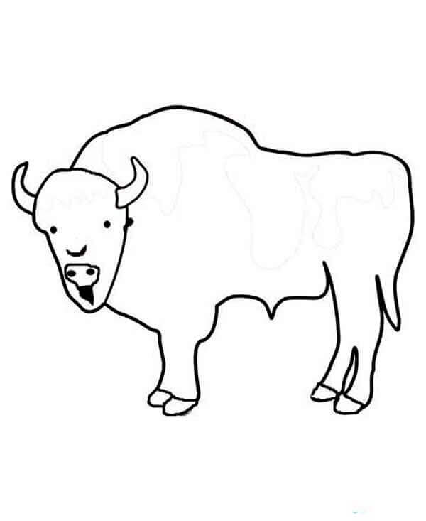 Desenhos de Bisonte Simples para colorir