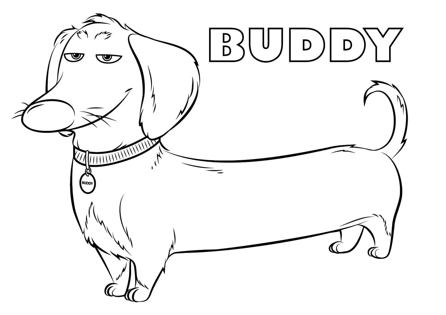 Desenhos de Buddy para colorir
