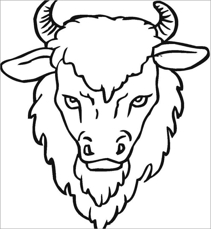 Desenhos de Cabeça de Bisão para colorir
