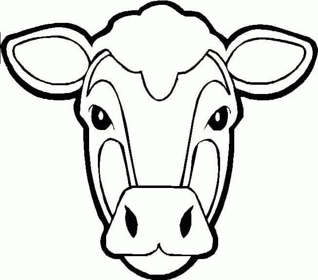 Desenhos de Cara de Vaca para colorir