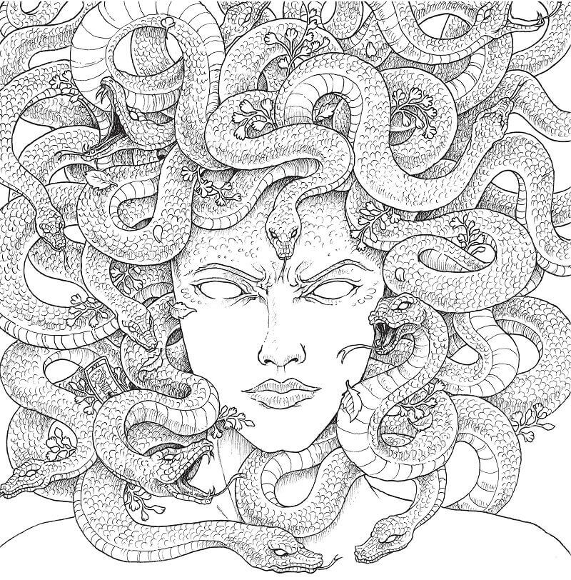 Desenhos de Cara de Medusa para colorir